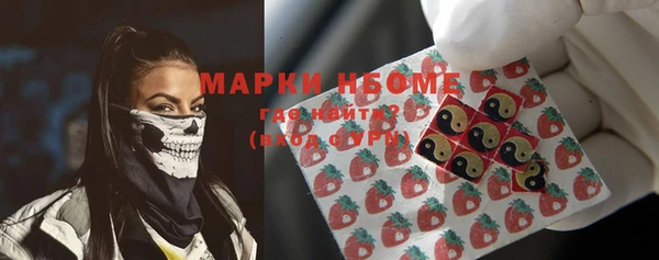сатива Кулебаки
