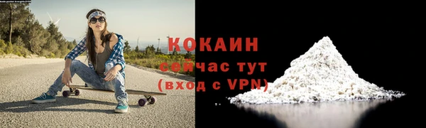 МДПВ Кукмор