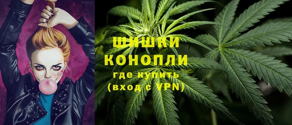 скорость Ладушкин