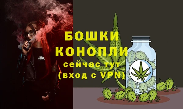 скорость Ладушкин
