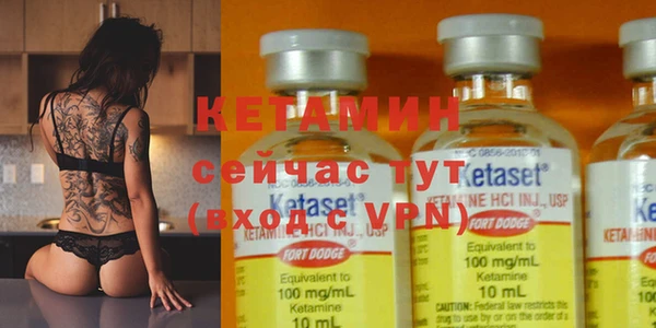 сатива Кулебаки