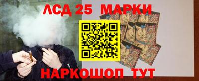 индика Аргун