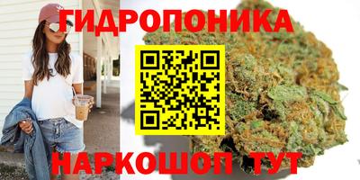 индика Аргун