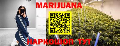 индика Аргун