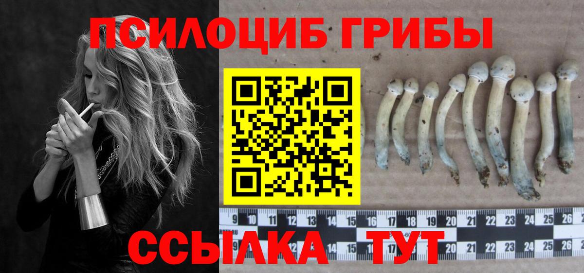 Псилоцибиновые грибы GOLDEN TEACHER  Беслан 